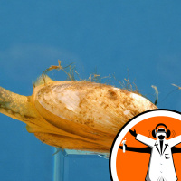 Foreign species invading the UK