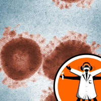 Covid-19 update: spread, tests and vaccines