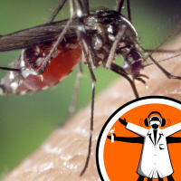 Shades of Blue Stop a Mosquito Biting You