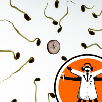 IVF embryos are more successful than expected