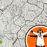 Rivers dont always recover after drought