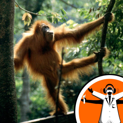 Naked Scientists Special Editions Podcast