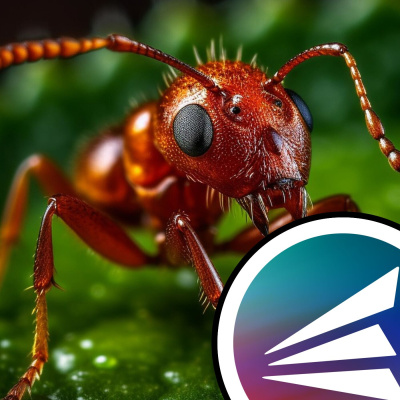 Naked Scientists Special Editions Podcast