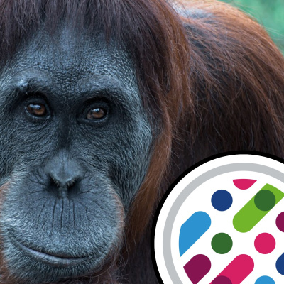 Naked Scientists Special Editions Podcast