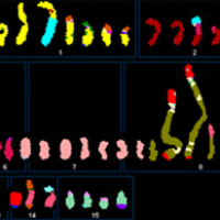 Frontiers of Sequencing: Putting Long Reads and Graph Assemblies to Work