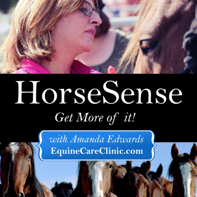 Horsesense