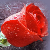 DRPC Mar 21-27, 2010