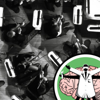 In the brain of the beholder: Music across cultures