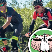 Having a Laugh, Throughout Life