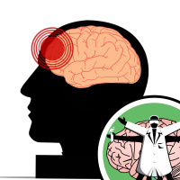 Head injuries: Reducing risk and improving treatment