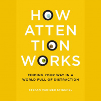 How Attention Works: Finding Your Way in a World Full of Distraction
