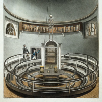 59 - Cry of the Suffering Organs