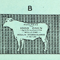 Summer Shorts #3 - Insulin Drama