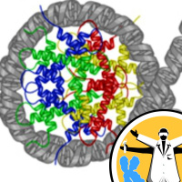 Doing the twist - packing DNA