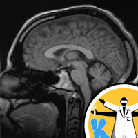 Nature, nurture and wiring the brain