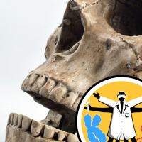 Will It Sequence? 700-year-old DNA