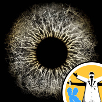 Bees, tress and 3-D genes