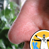 Smells like gene spirit