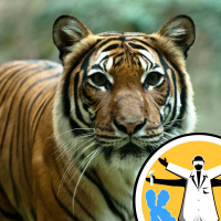 Matchmaking at the zoo