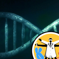 Will It Sequence? Synthetic DNA