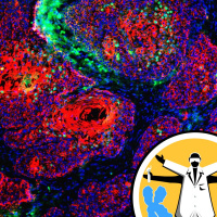 Science and the single cell