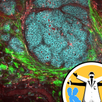 Tackling tumours, curing cancer