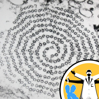 Naked Genetics - Taking A Look Inside Your Genes