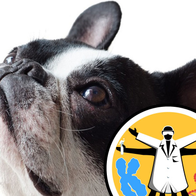 Naked Genetics - Taking A Look Inside Your Genes