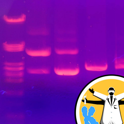 Naked Genetics - Taking A Look Inside Your Genes