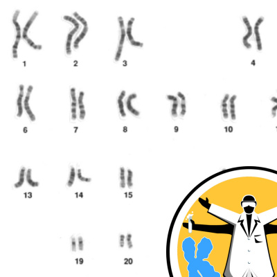 Naked Genetics - Taking A Look Inside Your Genes