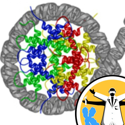 Naked Genetics - Taking A Look Inside Your Genes