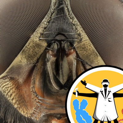 Naked Genetics - Taking A Look Inside Your Genes