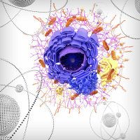The Next 50 Years: A Model of Life on the Atomic Scale