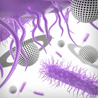 The Next 50 Years: Anybody Out There?