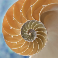 Science Amid the Social Distance