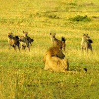 Artificial Intelligence Revs Up Evolution’s Clock