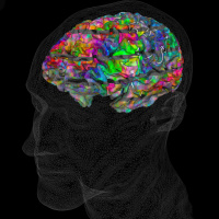 A Machine That Understands Language Like a Human