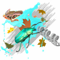 The Next 50 Years: A Global Census of Life