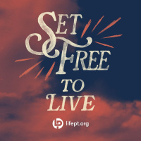 Set Free to Live | Set Free Week 4