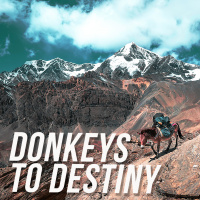 Donkeys to Destiny with Ps Nick Hindle