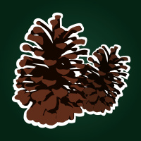 The Unfathomable Riches of Christ 4