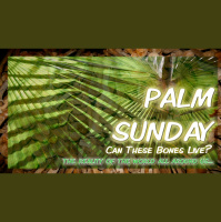 Palm Sunday :Sun Stand Still...Can These Bones Live?