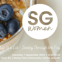 Seeing Through The Fog