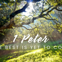 Grace in the Face of Unjust Suffering | Austin Loke | 1 Peter 2:18-25