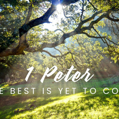 Sovereign Grace Church Sydney Podcast