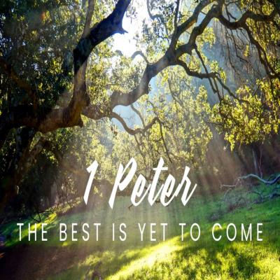 Sovereign Grace Church Sydney Podcast