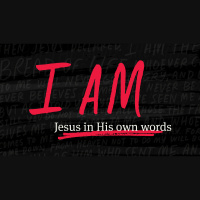 I Am - The Light - Audio