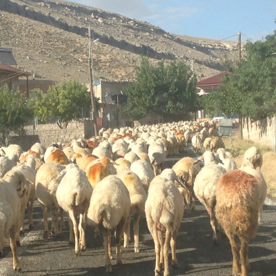 Rev. Charissa Clark Howe