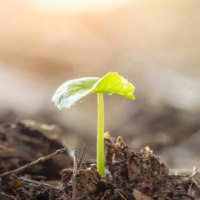 His Body: Resurrection Matters - 1 Corinthians 15:12-28