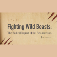 Radical Motivation: 1 Corinthans 15: 29-34